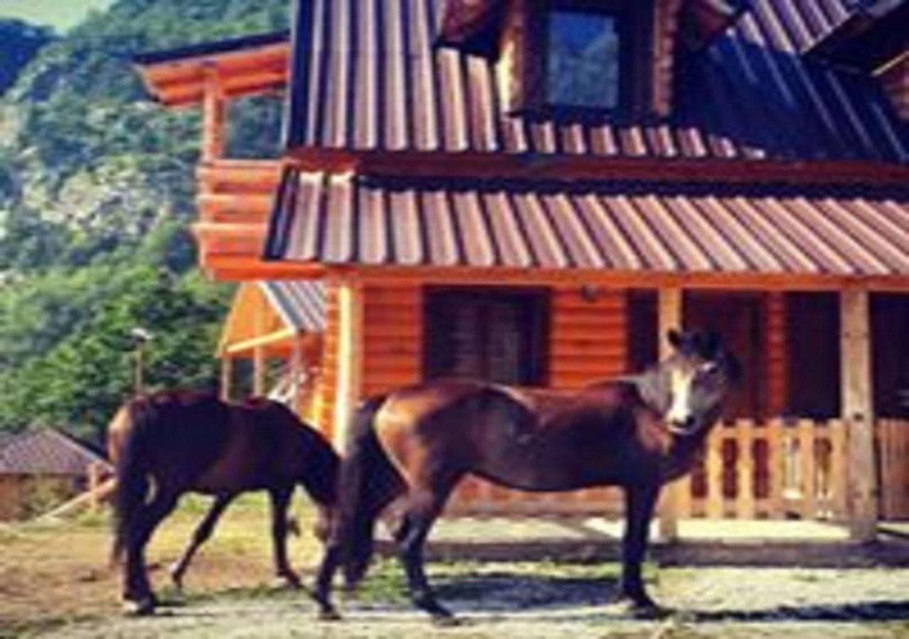 Farm stay Thethi Paradise & Restaurant